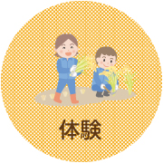 体験